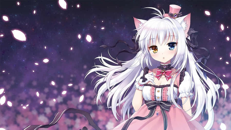 Neko wallpapers