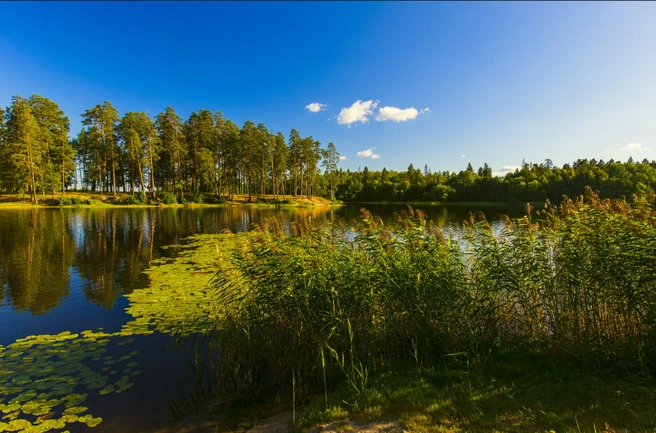 Светлые озера во Фролищах Нижегородской 