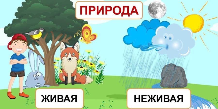 Шаг 3 – Неживая и живая природа 