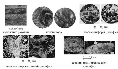 Текстуры брекчиевидная 