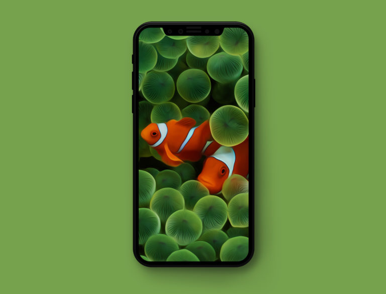 Обои Iphone 11 Изображения – скачать 