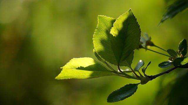 Вид с воздуха на природные озерные пейзажи