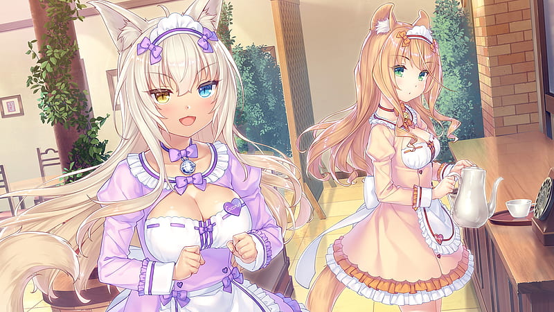 Buy NEKOPARA Vol