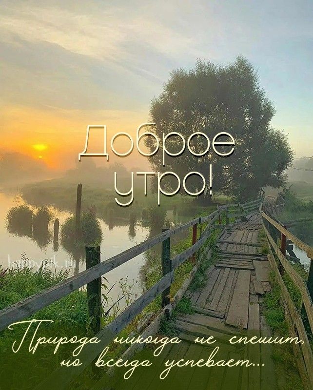 Утром