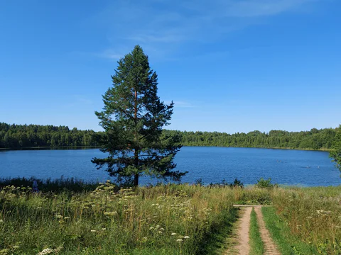 Россия, Нижегородская область, озеро Светлояр