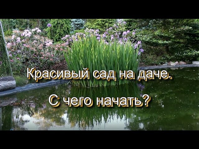 Сад для ленивых