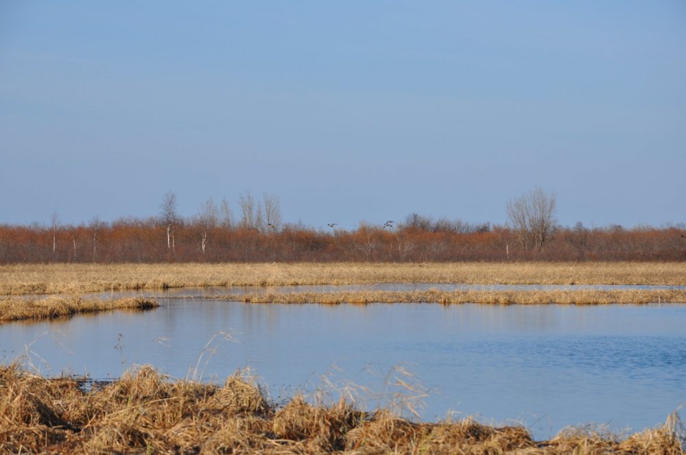 Река Ижма в Республике Коми