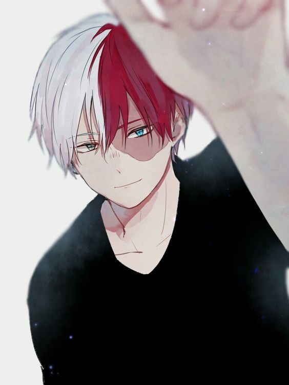 My Digital art of Shoto Todoroki ,It took me like One hour to 