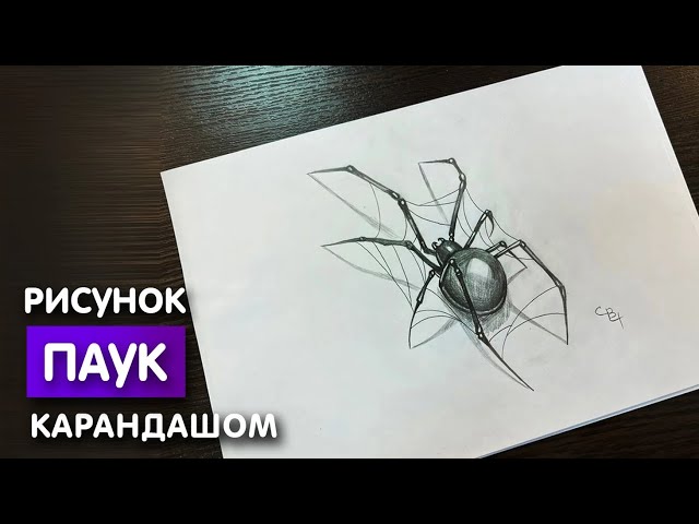 Как нарисовать паука поэтапно карандашом 