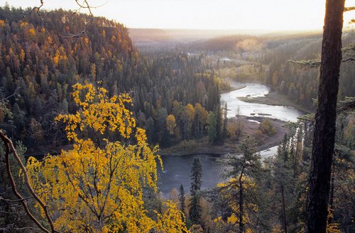 Обои лес, река, Финляндия на телефон и рабочий стол, раздел 