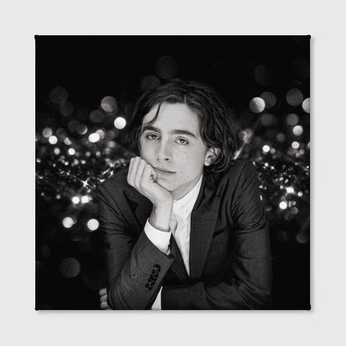 Тимоти Шаламе Timothée Chalamet 