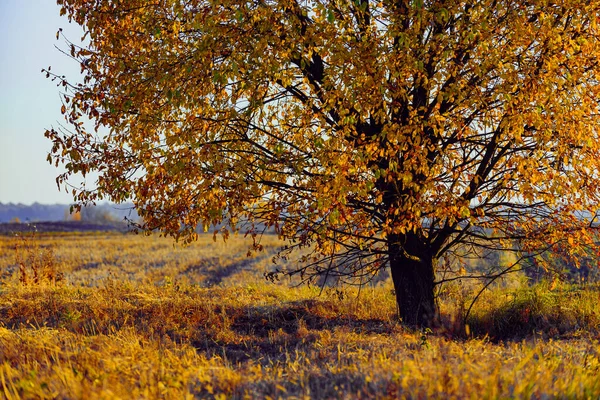 Картинки природы беларуси 