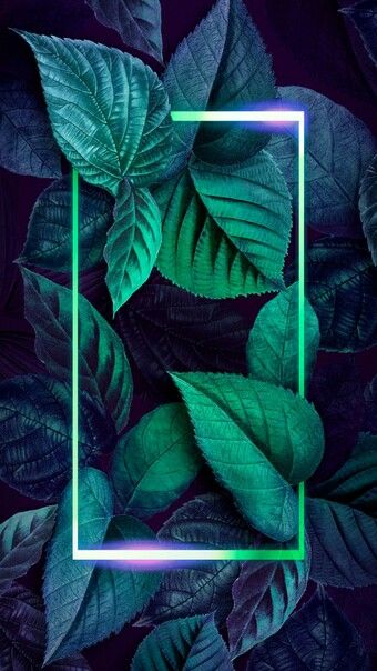 Лучшие Обои В Lively Wallpaper 