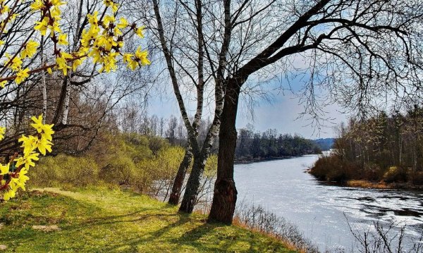 Календарь природы на апрель