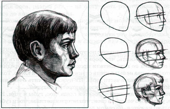 Как нарисовать лицо человека в профиль
