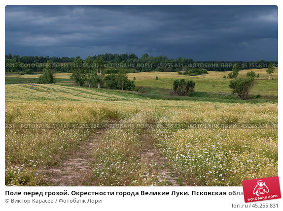 Великие Луки празднуют День города