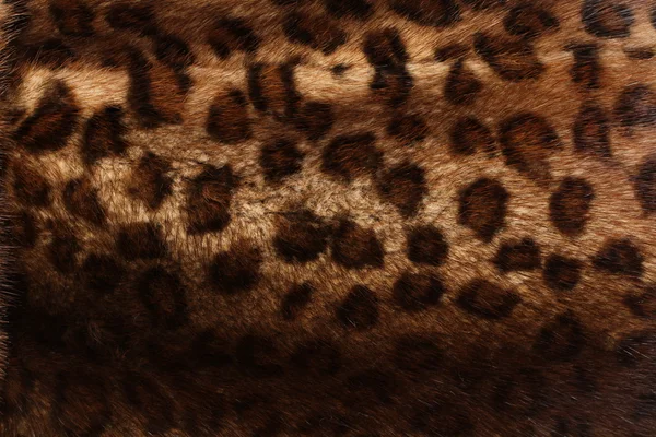 Animal print seamless pattern