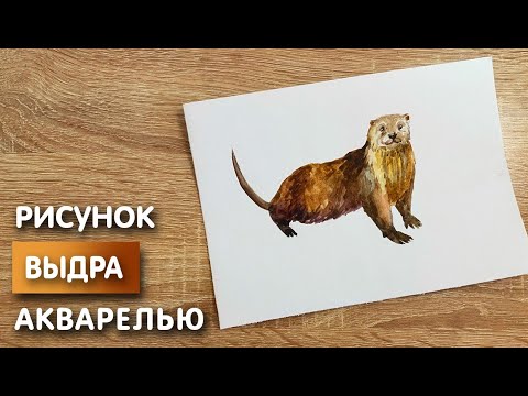 Выдры карандашом 