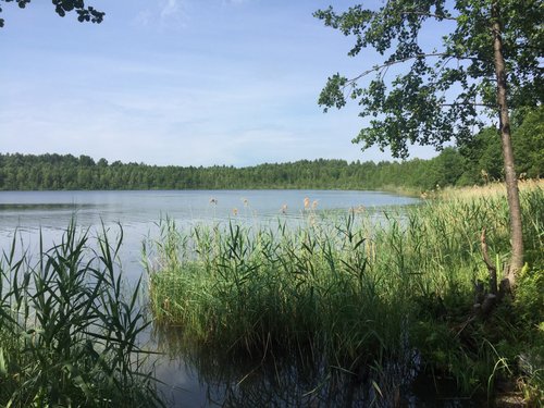 Топ 30 — реки Нижегородской области