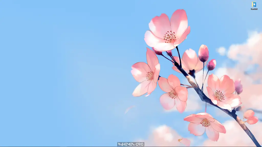 Cherry Blossom Live Wallpaper