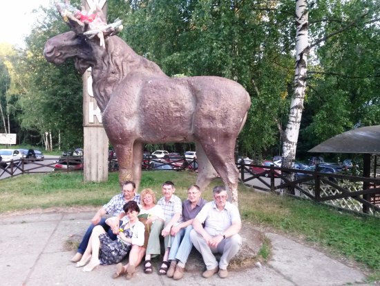 Лось в городе 