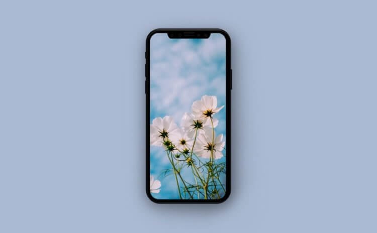 Стоковые обои iPhone 11 и iPhone 11 Pro 