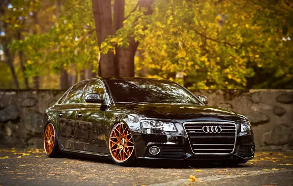 Audi Wallpapers Iphone Hd Wallpaper