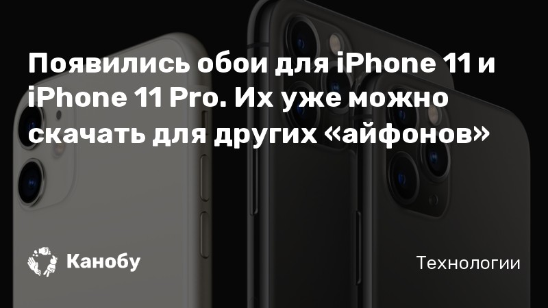 Стоковые обои iPhone 11 и iPhone 11 Pro