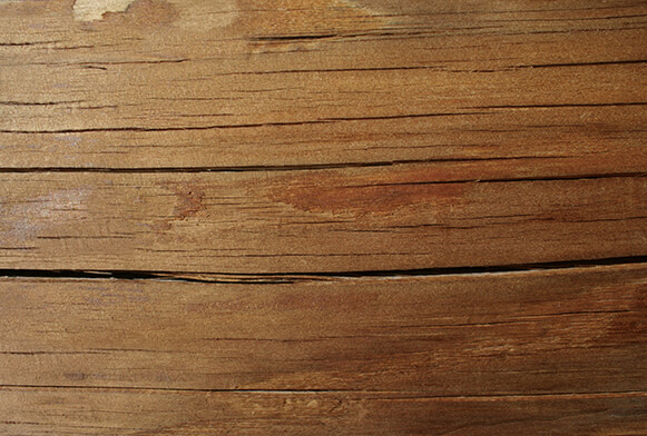 Текстуры дерева Wooden Textures