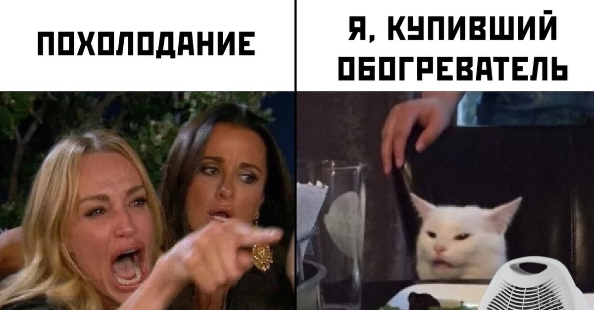 Мем с белым котом за столом 