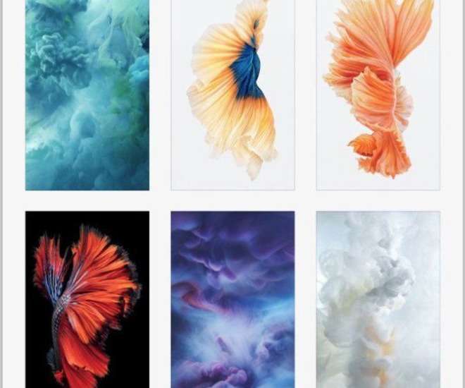 Original wallpapers from Apple 