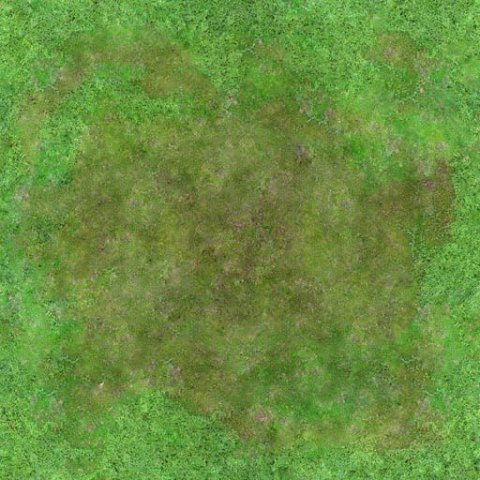 Seamless Grass Texture 2048x2048