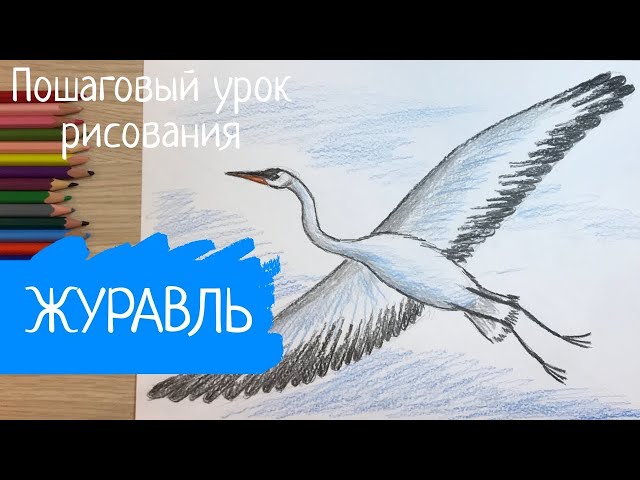 Как нарисовать журавля, летящего высоко 