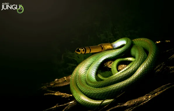 Snakes in nature wallpapers for your phone