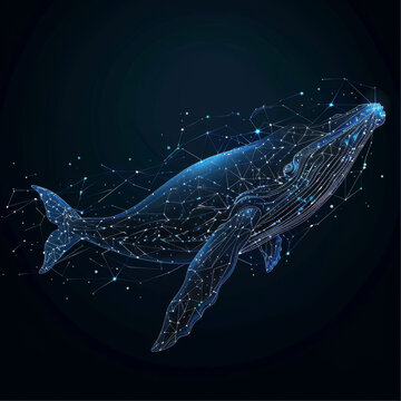 Blue Whale Video Live Wallpaper для 