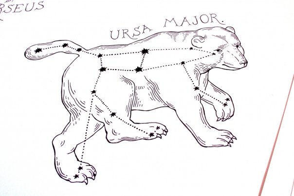 Картинка «Большая Медведица»