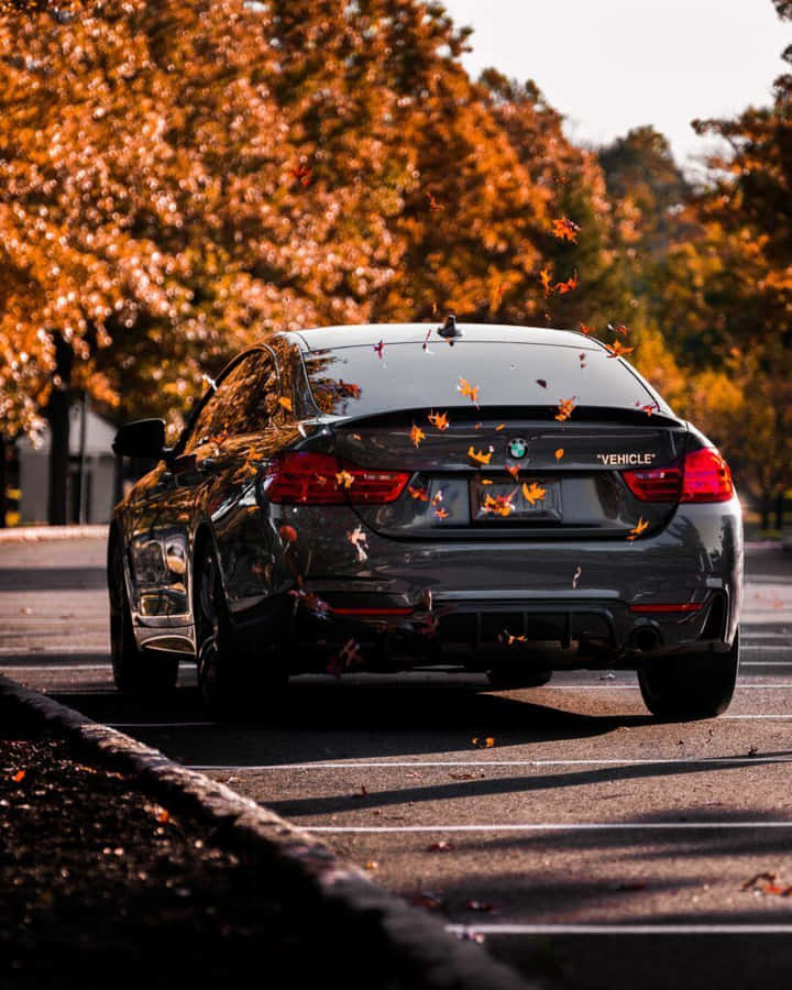 A Blue BMW M4 on the Parking Lot · Free 