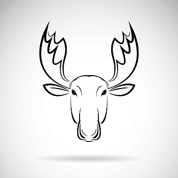 Moose Line art Рисунок Черно-белый, Голова лося, рога оленя 