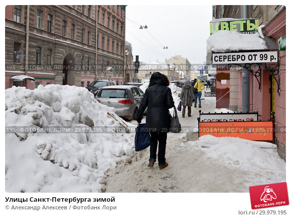 Зимние экотропы Петербурга и 