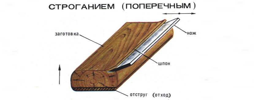 Что такое шпон