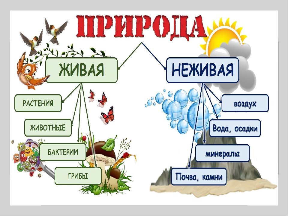 Турция живая и неживая природа