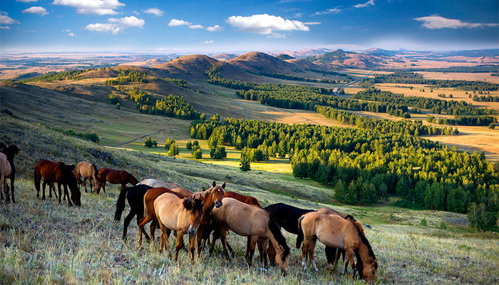 Фото Башкирия 