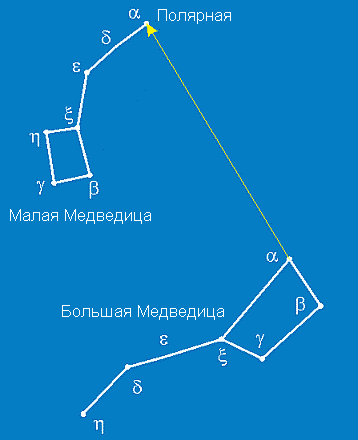 Созвездие животных рисунки 