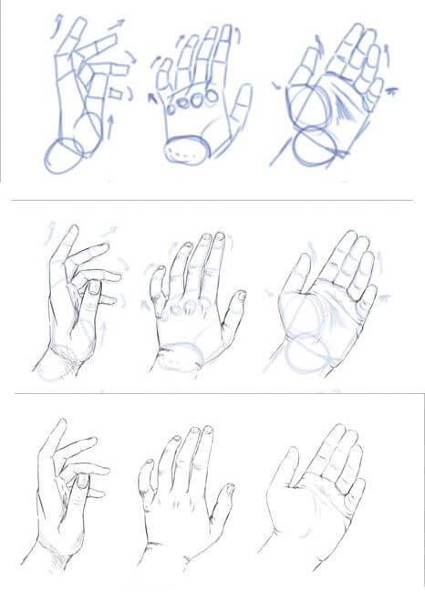 Как рисовать руки и ладони