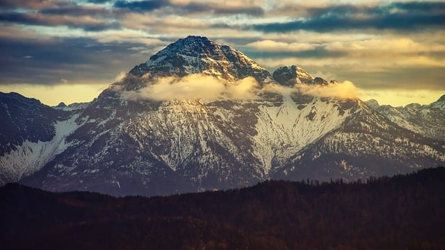 Природа и олень,лес,озеро,пейзаж,изображение 