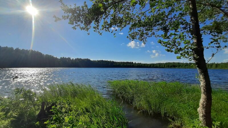 Озеро Тосканка, Ворсма