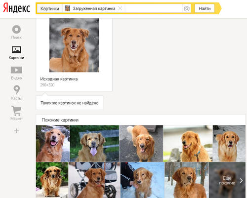 Яндекс-поиск картинки по фото