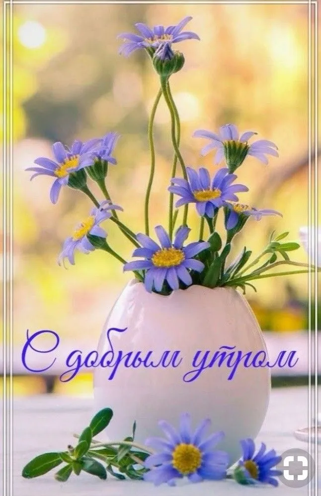 Природа утром 