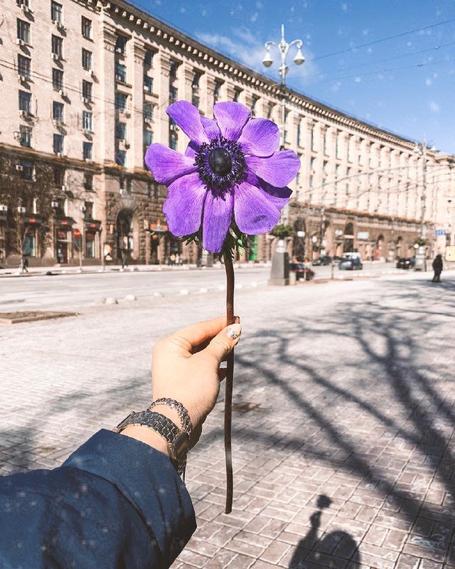 ТОП красивых фотографий весеннего Киева в Instagram