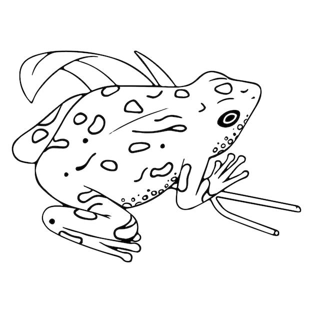 Рисунок ЖАБКА / how to draw a toad 